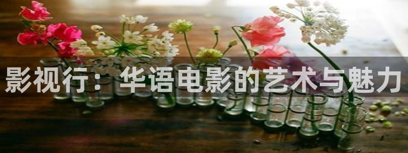 蜜桃成熟电影网站：影视行：华语电影的艺术与魅力